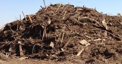 Approprié pour de spécial exigence dans le recyclage de bois